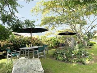 Coromandel Court Motel Extérieur photo